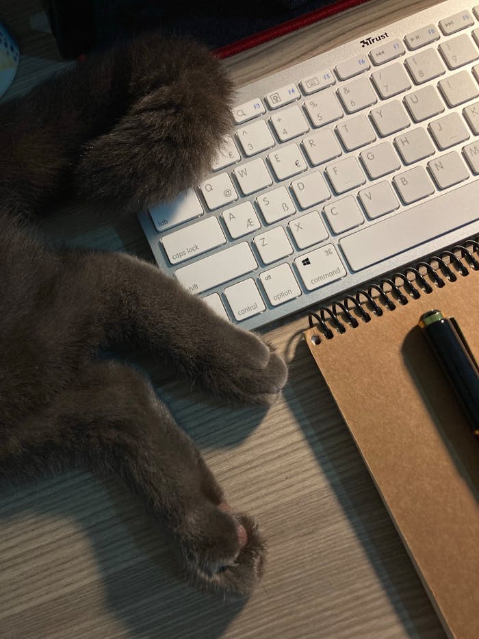 Cute cat paws resting on a keyboard next to a notebook and pen, shot from above.